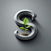 Satus Legal, LLC logo - Similar company to Nolte Lackenbach Siegel