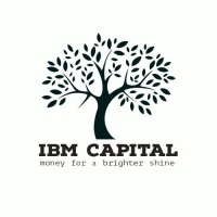 IBM CAPITAL logo - Similar company to Lamda Tech