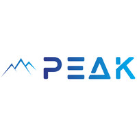 PEAK LLC logo - Similar company to The Consultant Global
