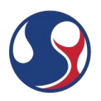 Shinyo International Group Limited logo - Similar company to Nucleus Leadership Solutions