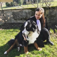 DODE AVOCAT logo - Similar company to Mdh Avocats