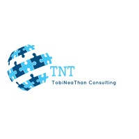 TNT Consult logo - Similar company to Tnt Consulting Llp