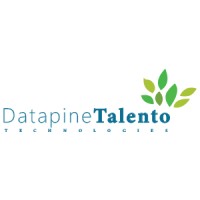 Datapine Talento Technologies logo - Similar company to Crest360, Inc