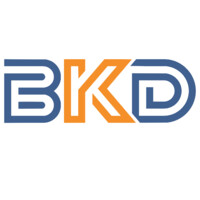 BKD - Bright Kingdom logo - Similar company to Active Components