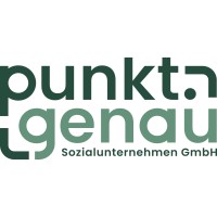 punkt.genau Sozialunternehmen GmbH logo - Similar company to Helfen Zu Leben