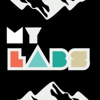 MyLabs logo - Similar company to Mylabs Technology Solutions
