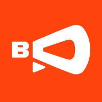 Banner Director logo - Similar company to Virtualmedia Network