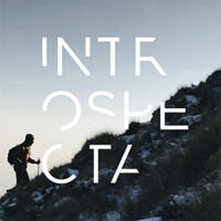 Introspecta logo - Similar company to Itz Coaching