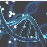 Clinical genetics and heredity logo - Similar company to Saveions Ltd