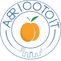 Abricotoit logo - Similar company to Iyatus