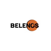 Belenos logo - Similar company to Belenos