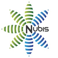 Nubis Solutions Ltd logo - Similar company to Level One
