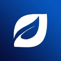Design Tree logo - Similar company to Design Tree