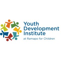 Youth Development Institute logo - Similar company to Youth Development Collaboration Lab (Yd Co-Lab)