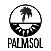 PalmSol logo - Similar company to Ketchup