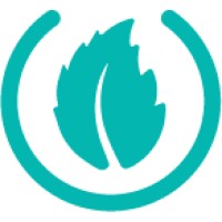 Mint Consulting Australia logo - Similar company to Wave Data Labs