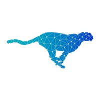Digital Portage logo - Similar company to App Craft Studio