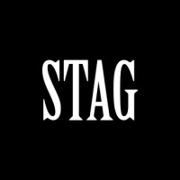 Stag Media logo - Similar company to Techine Solutions
