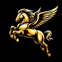 Biig Dreams logo - Similar company to Longrun Software