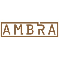 AMBRA logo - Similar company to Open Big Doors