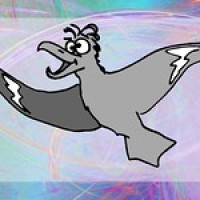 Skua Rua