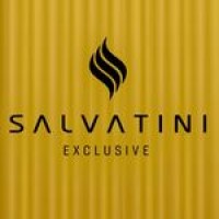 Salvatini logo - Similar company to De Blasio 2017