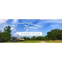 Soaring Wings logo - Similar company to Rapideye, A Blackbridge Company