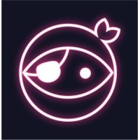 NINJAPIRATEN logo - Similar company to Boost It