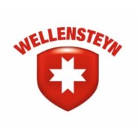 Wellensteyn Czechia logo - Similar company to Wellensteyn