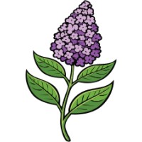Buddleja Corporation logo - Similar company to Rackgenius