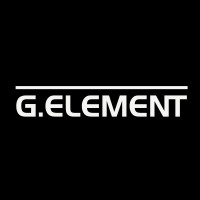 G.ELEMENT logo - Similar company to Puzzle X™
