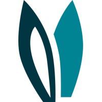 Nextmv logo - Similar company to Bluecrux