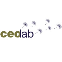 CEOlab logo - Similar company to Ceo Lab