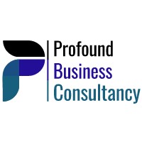 Profound Business Consultancy logo - Similar company to Strategy356
