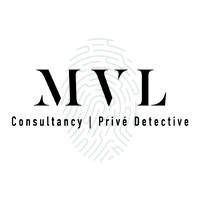 MVL Consultancy | Privé Detective logo - Similar company to Dpl Intelligence - Détective Privé Au Luxembourg