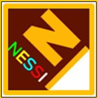 Nessi Business Solution logo - Similar company to Mavinzent Technologies