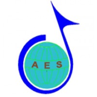 Aviation Engineering Solutions logo - Similar company to Computational Aeronautics Lab