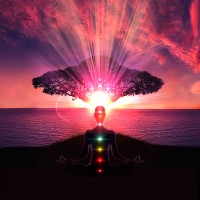 Transcension Project logo - Similar company to Conscious Evolution