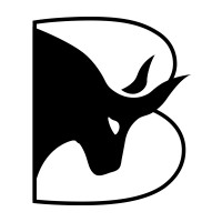 Bulleon.Io