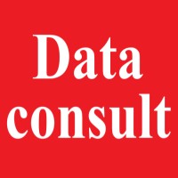 Dataconsult Ltd logo - Similar company to Reservepay Technology Co., Ltd.