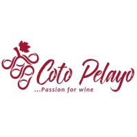 Coto Pelayo logo - Similar company to Grupo Navarra