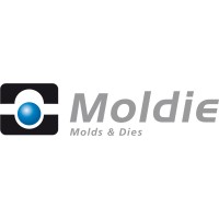 Moldie Group Limited logo - Similar company to Holeis