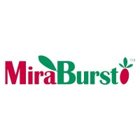MiraBurst logo - Similar company to Jane Coxwell