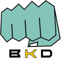 Bare Knuckle Development logo - Similar company to Turn Cardio Jam Studio