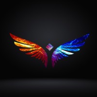 Jakas Agency logo - Similar company to The Design Store