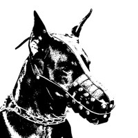 THE UNDERGROUND UNDERDOGS logo - Similar company to Producer Labs