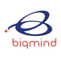 Biqmind logo - Similar company to Mpliphi