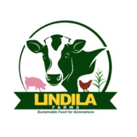 Lindila Farms Ltd logo - Similar company to Forbes Networks Media