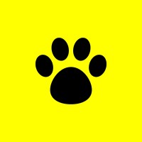 Meowcating
