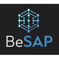 BeSAP Consultoria logo - Similar company to All Change